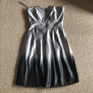 Silver fade WHBM dress